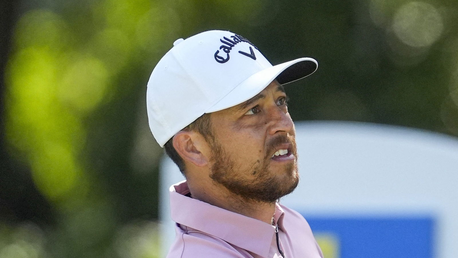 Xander Schauffele